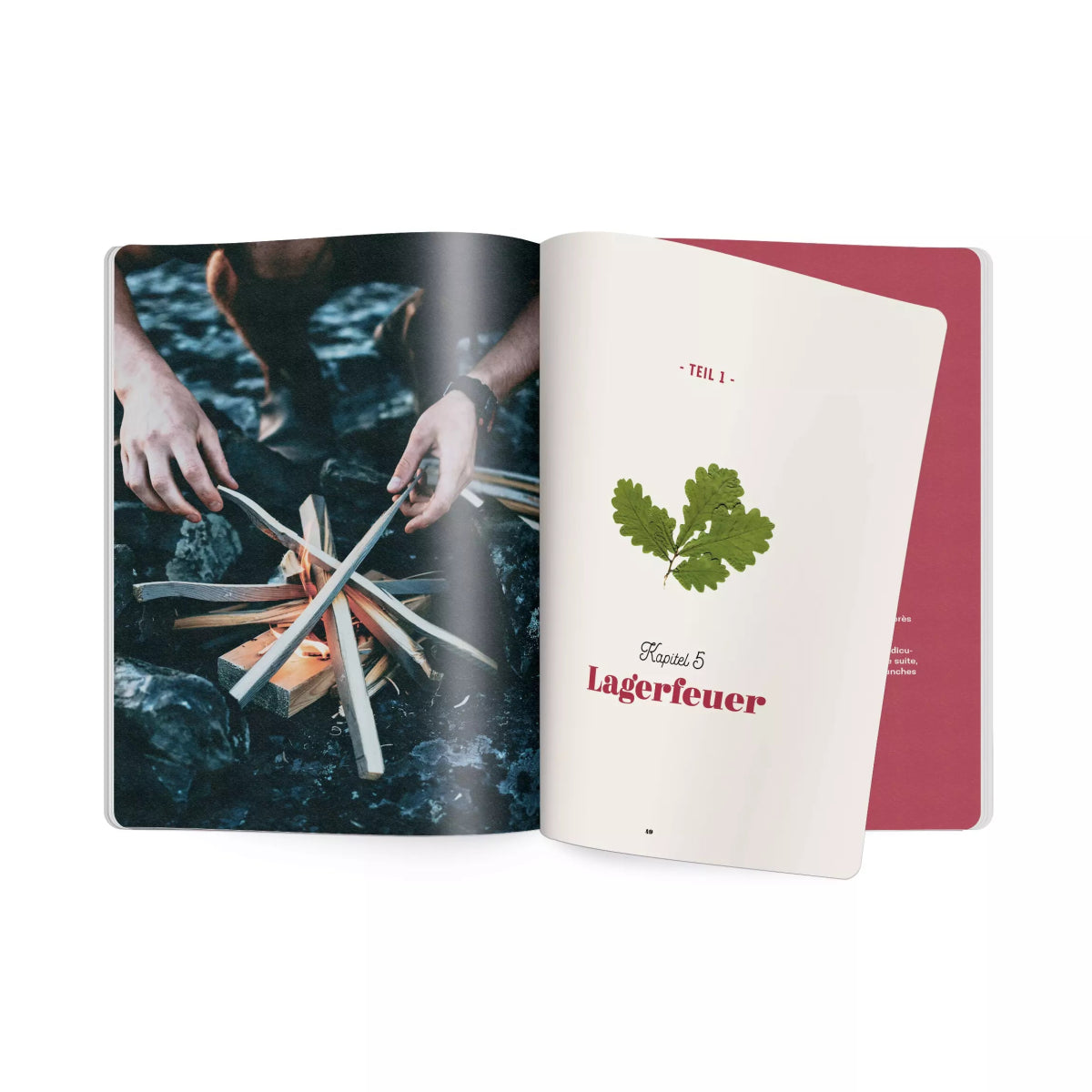HELVETIQ – Buch LAGERFEUERLEBEN von Gerard Janssen - WILDHOOD store