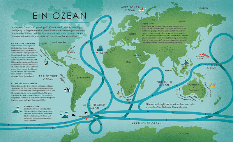 Buch UNSER BLAUER PLANET Der Ozean – von Leisa Stewart-Sharpe