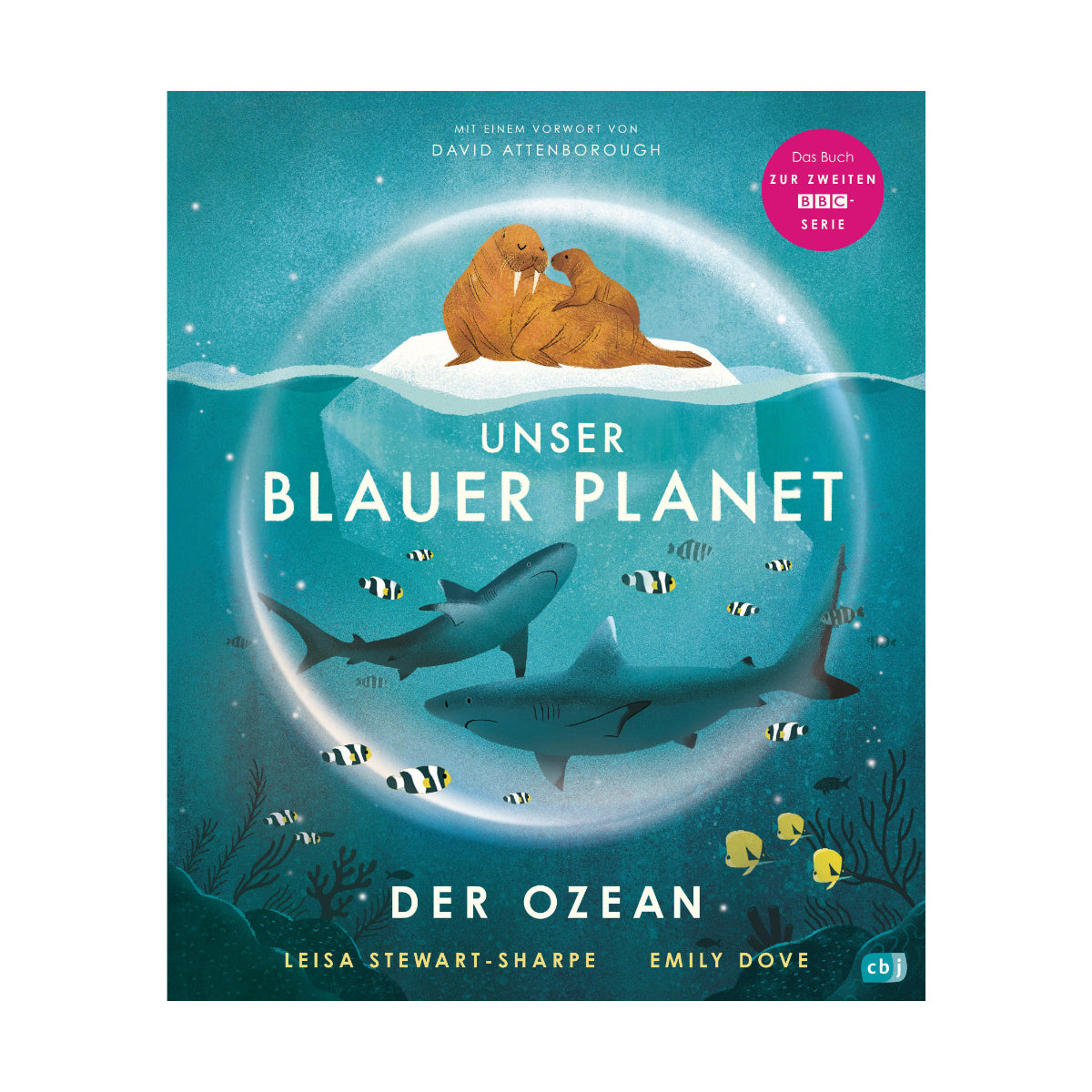 Buch UNSER BLAUER PLANET Der Ozean – von Leisa Stewart-Sharpe