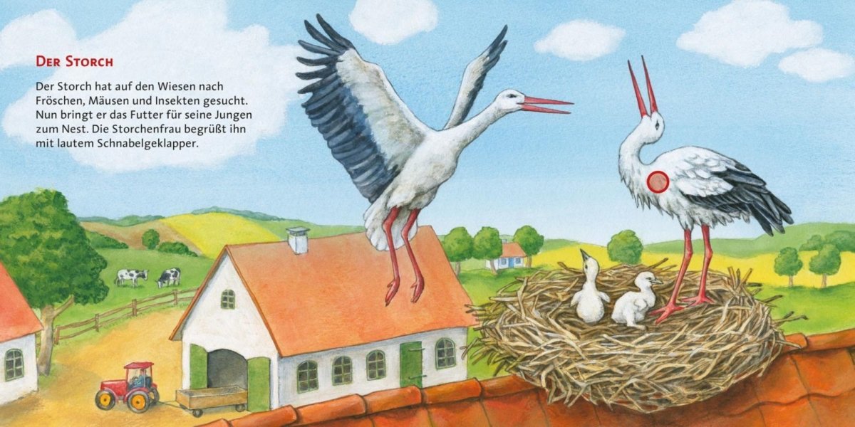 Carlsen Verlag – Buch HÖR MAL Bd. 4 – Unsere Vögel - WILDHOOD store
