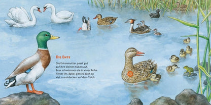 Carlsen Verlag – Buch HÖR MAL Bd. 4 – Unsere Vögel - WILDHOOD store
