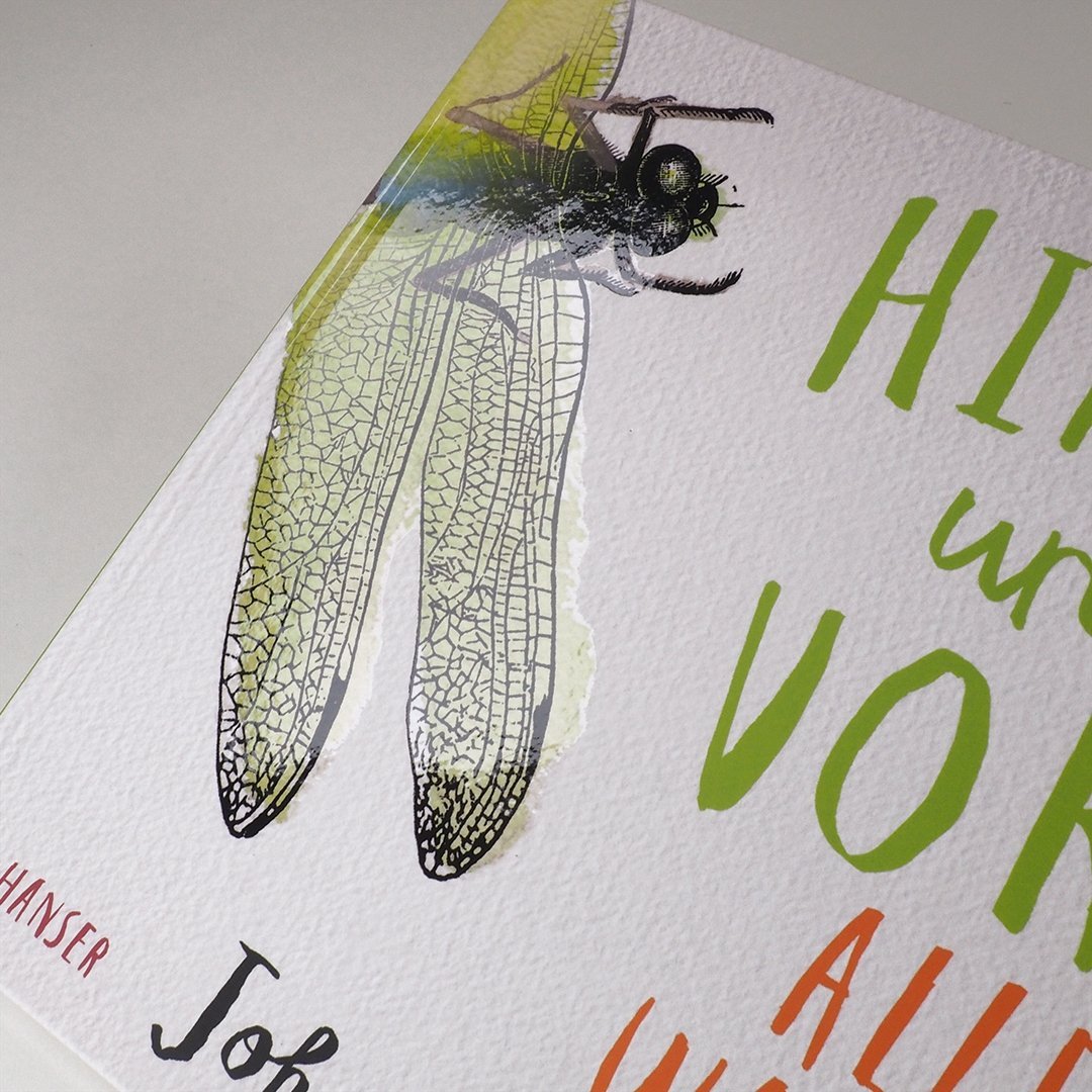 Buch HINTEN UND VORN – Alles was krabbelt und fliegt – von John Canty