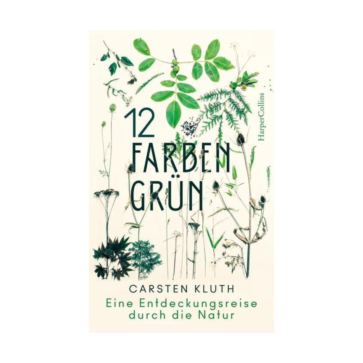 HarperCollins – Buch 12 FARBEN GRÜN – Eine Entdeckungsreise durch die Natur – von Carsten Kluth - WILDHOOD store