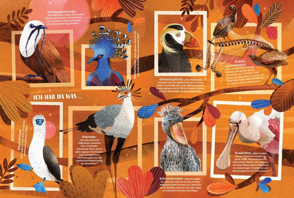 Knesebeck – Buch SCHAU MAL WER DA FLIEGT – Die bunte Welt der Vögel - WILDHOOD store