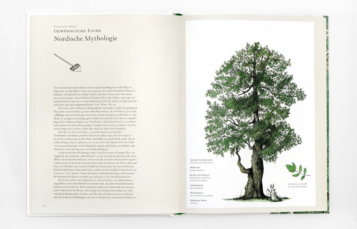 Laurence King Verlag – Buch DIE GESCHICHTE DER BÄUME von Kevin Hobbs und David West - WILDHOOD store