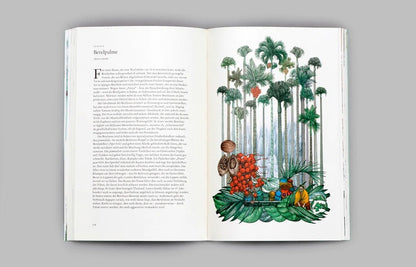 Laurence King Verlag – Buch IN 80 BÄUMEN UM DIE WELT von Jonathan Drori - WILDHOOD store
