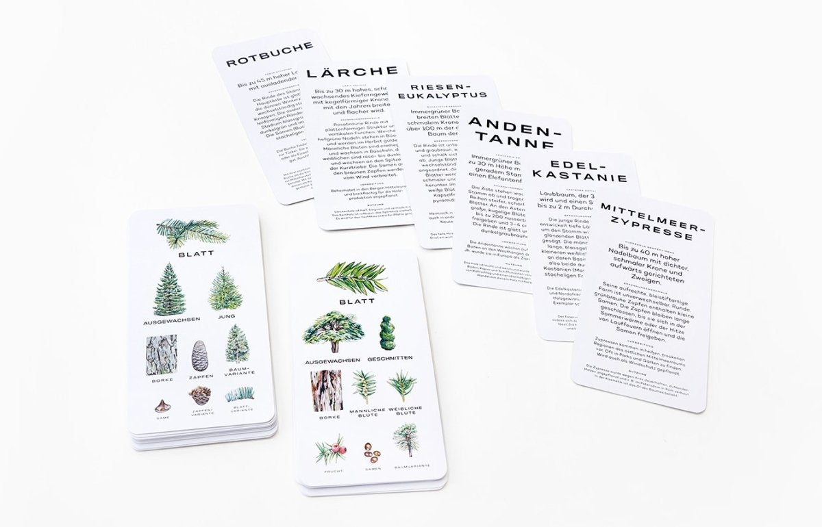 Laurence King Verlag – Karten-Set BAUM-WISSEN 30 Karten zum Erkennen von Bäumen - WILDHOOD store