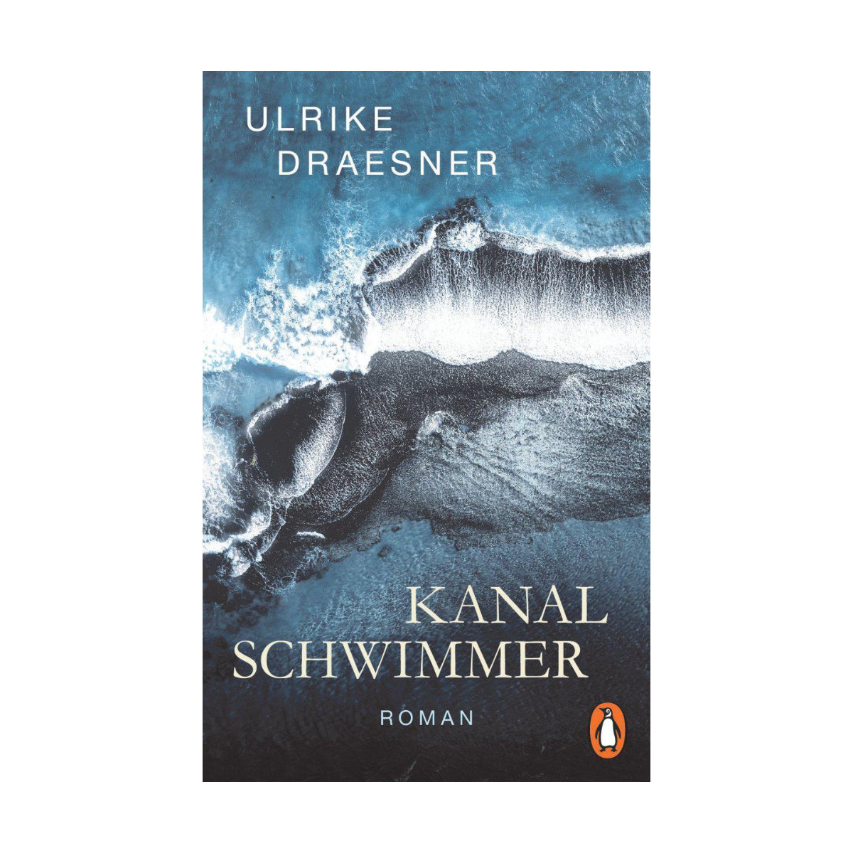 Buch KANALSCHWIMMER von Ulrike Draesner