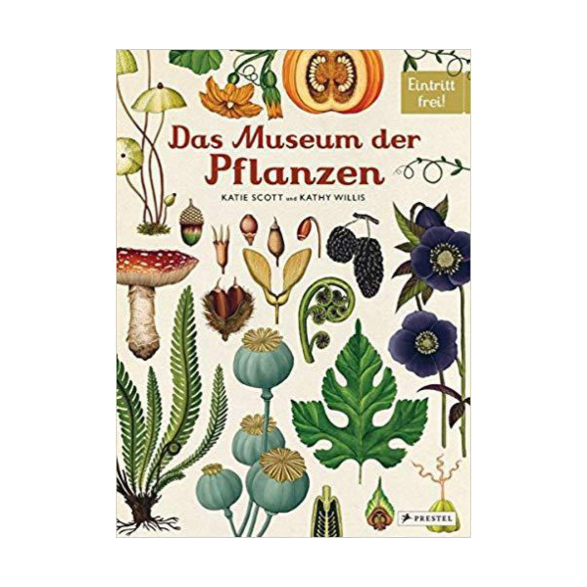 Prestel Verlag – Buch DAS MUSEUM DER PFLANZEN von Katie Scott und Kathy Willis - WILDHOOD store