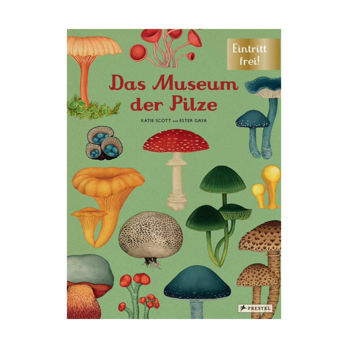Prestel Verlag – Buch DAS MUSEUM DER PILZE von Katie Scott und Ester Gaya - WILDHOOD store