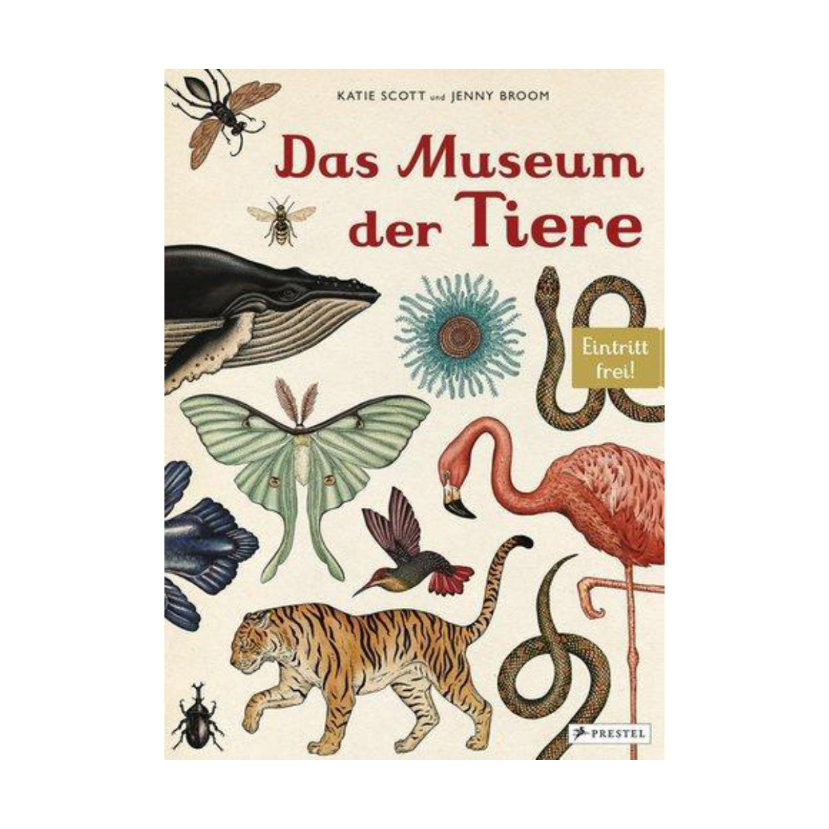 Prestel Verlag – Buch DAS MUSEUM DER TIERE von Jenny Broom - WILDHOOD store